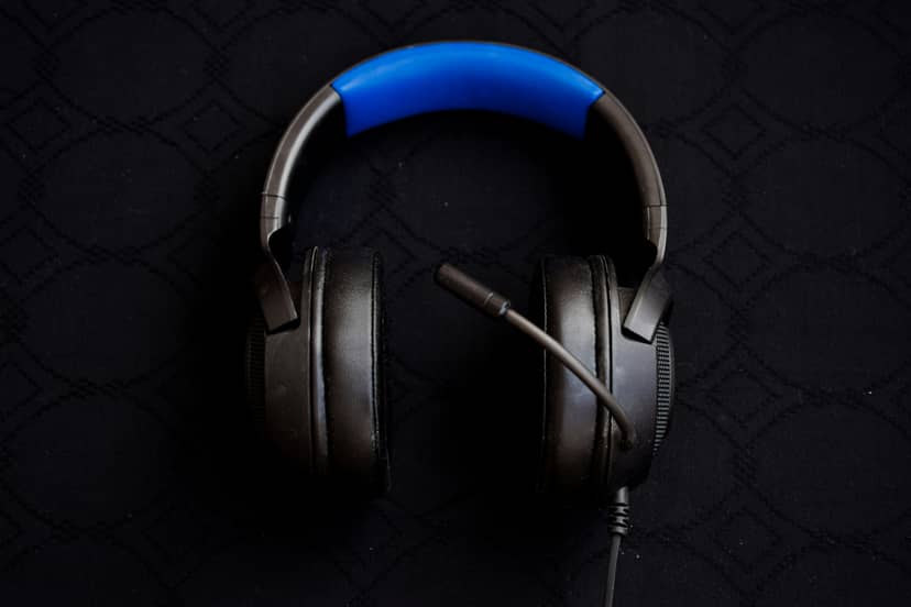 Pro Gaming Headset